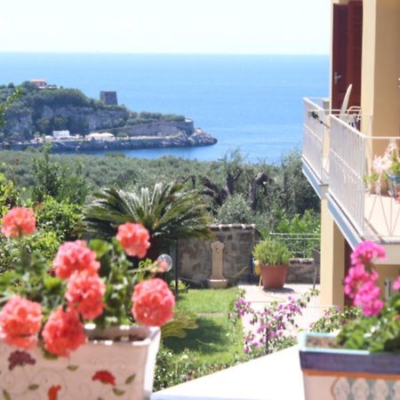 Faraglioni Di Sorrento Guesthouse Værelse billede