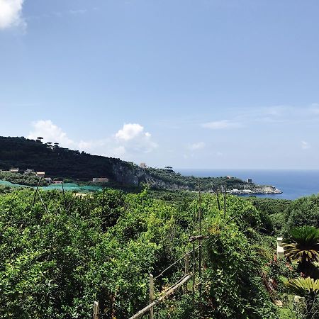 Faraglioni Di Sorrento Guesthouse Eksteriør billede