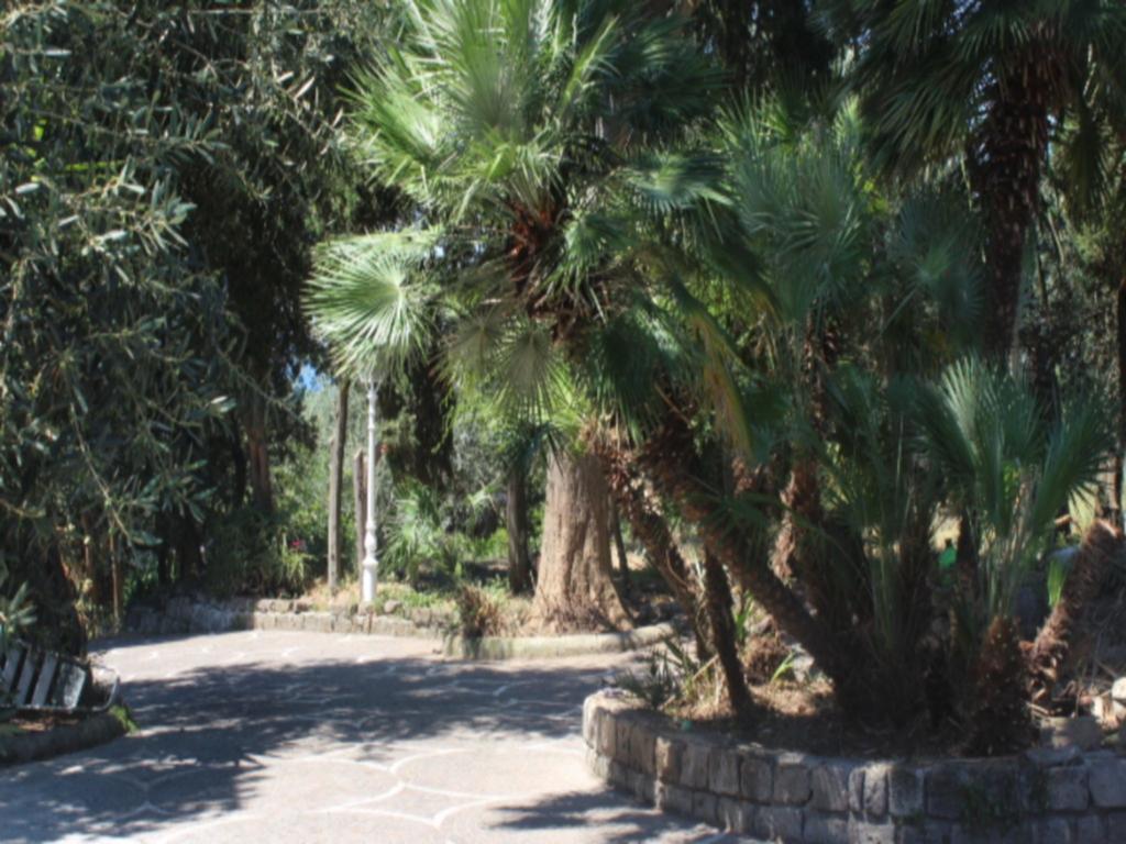 Faraglioni Di Sorrento Guesthouse Værelse billede