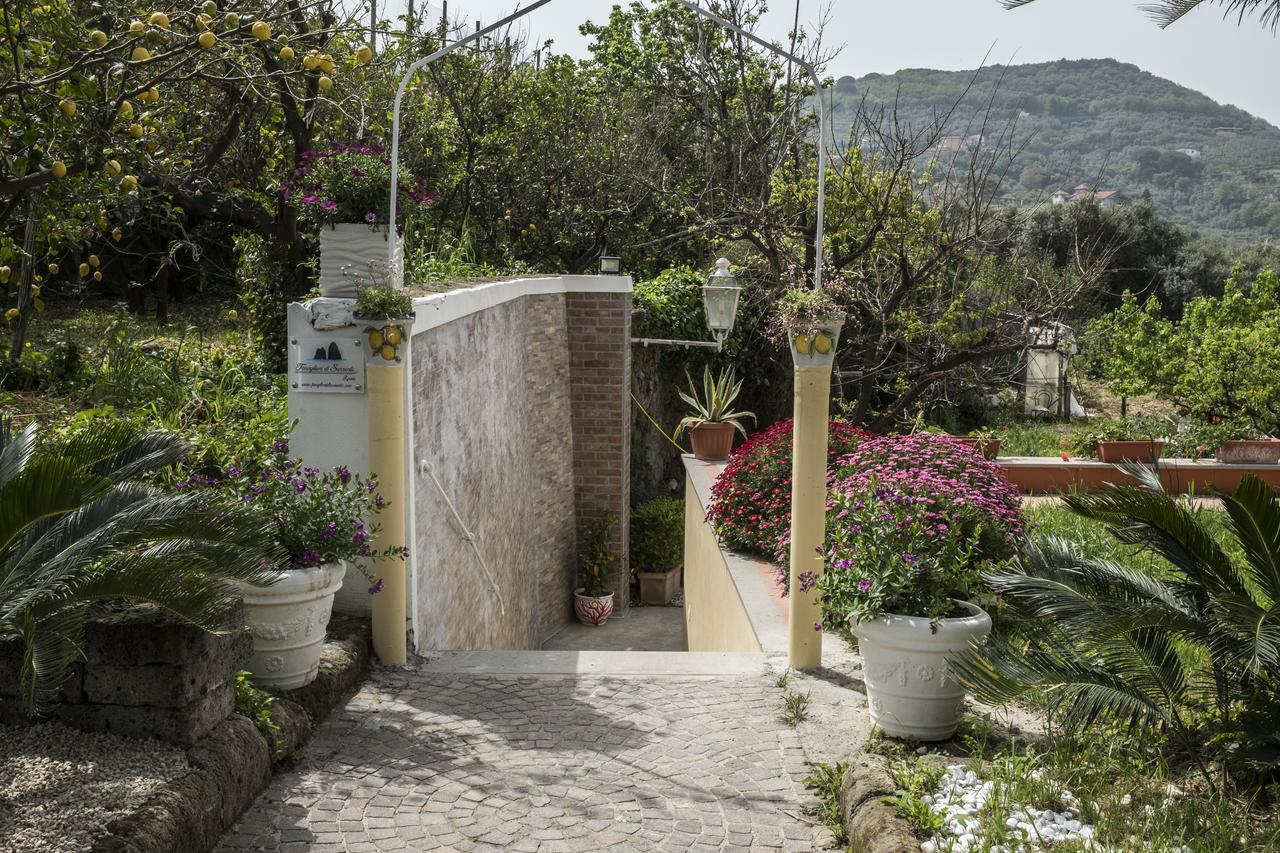 Faraglioni Di Sorrento Guesthouse Eksteriør billede