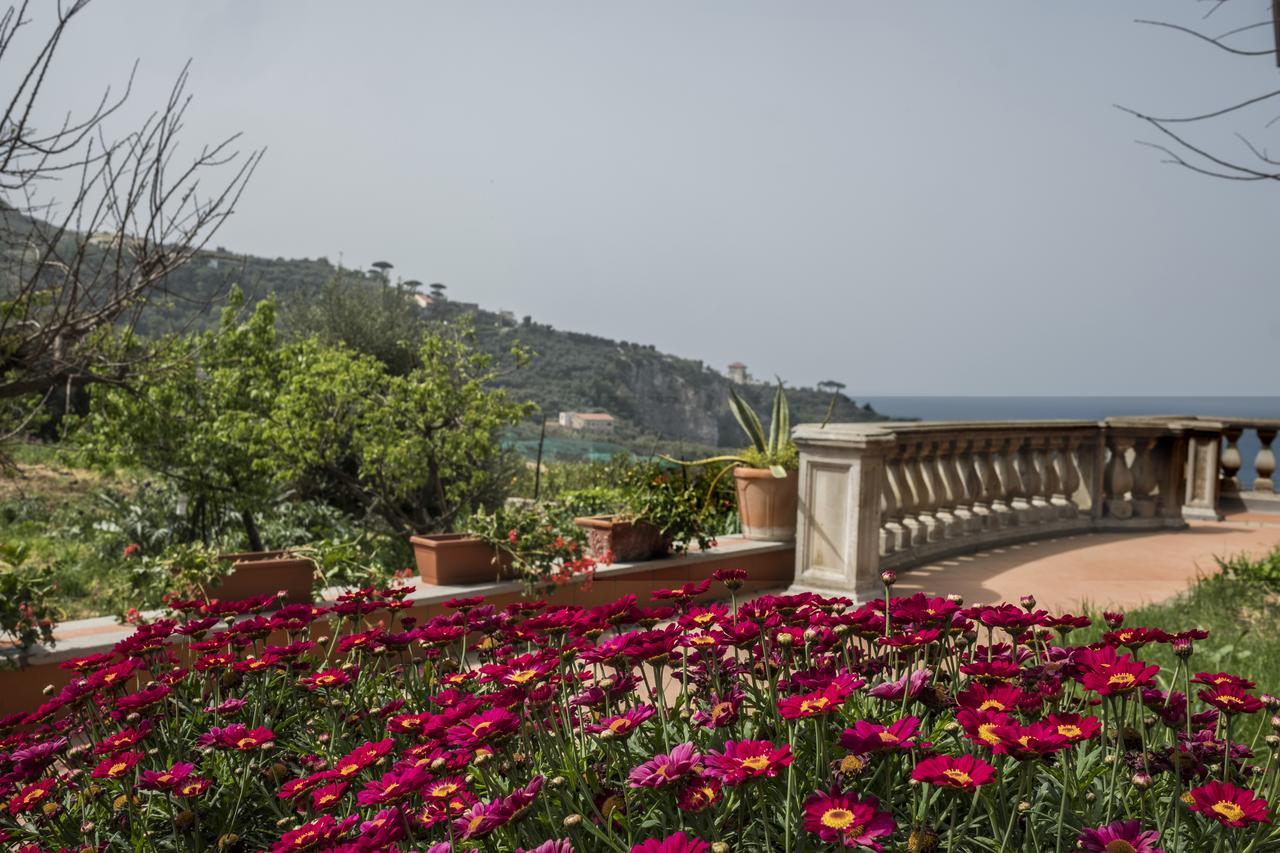 Faraglioni Di Sorrento Guesthouse Eksteriør billede