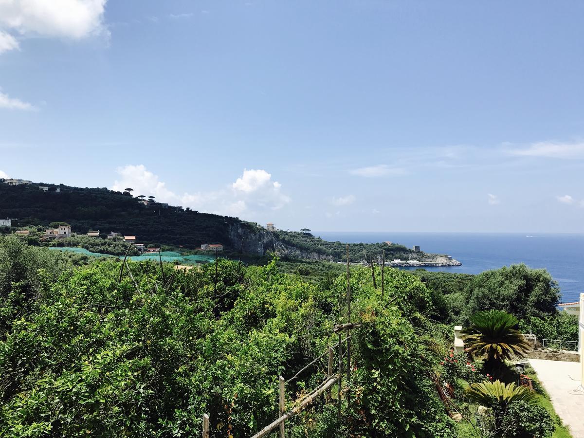 Faraglioni Di Sorrento Guesthouse Eksteriør billede